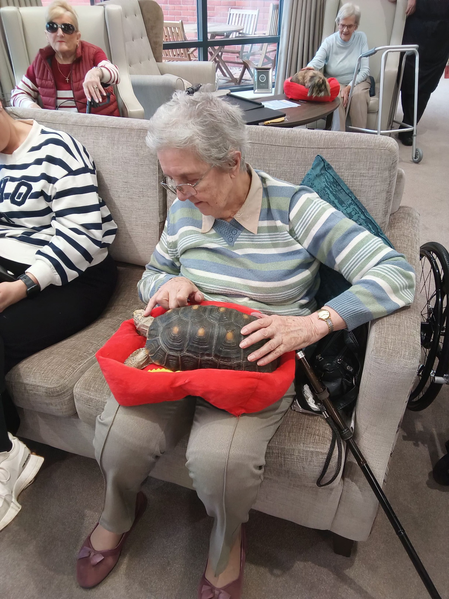 Pet Day Brings Joy and Companionship to Arkall Manor