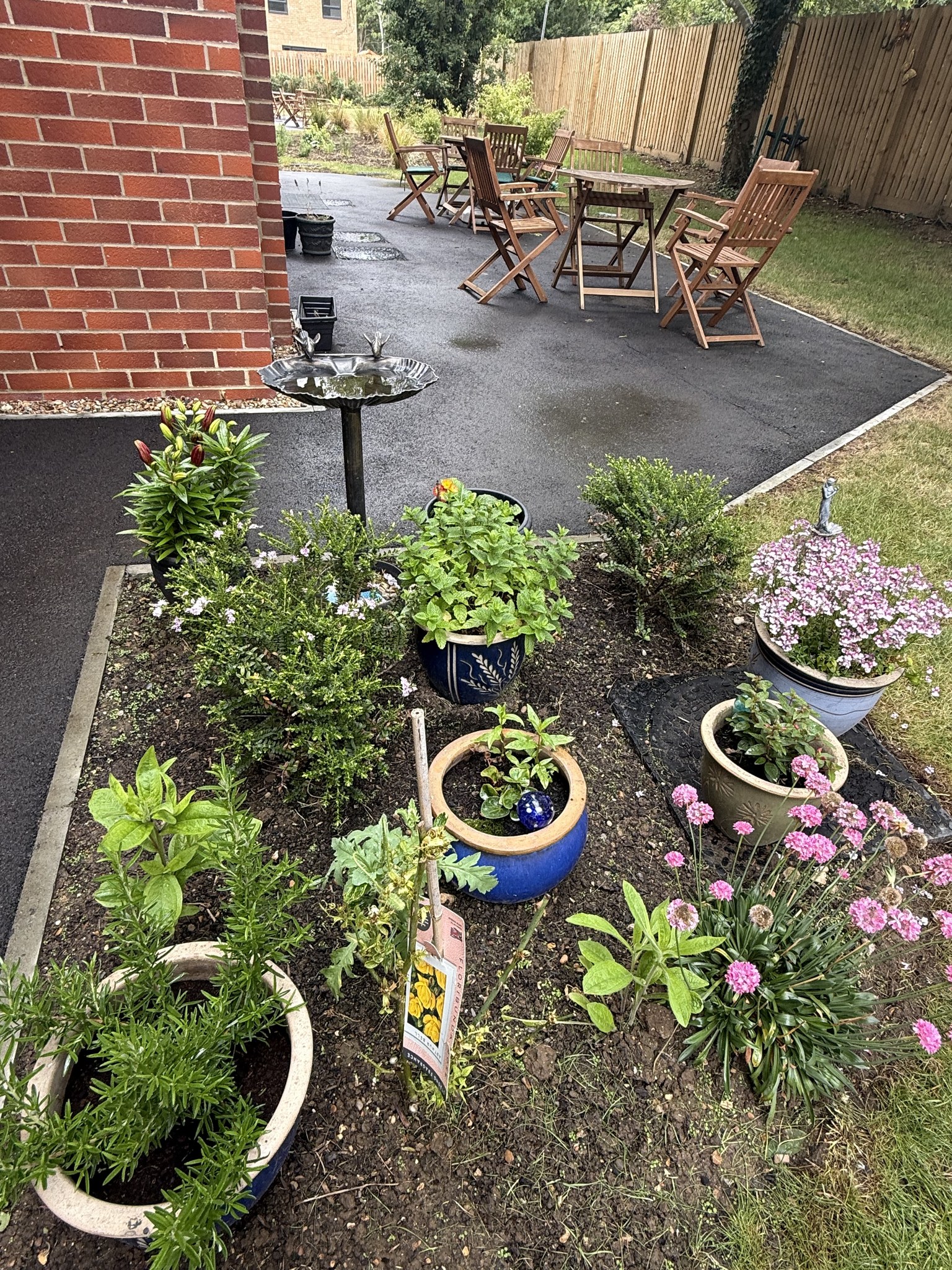 Brook Lodge Blooms: Residents Find Joy in Gardening Day