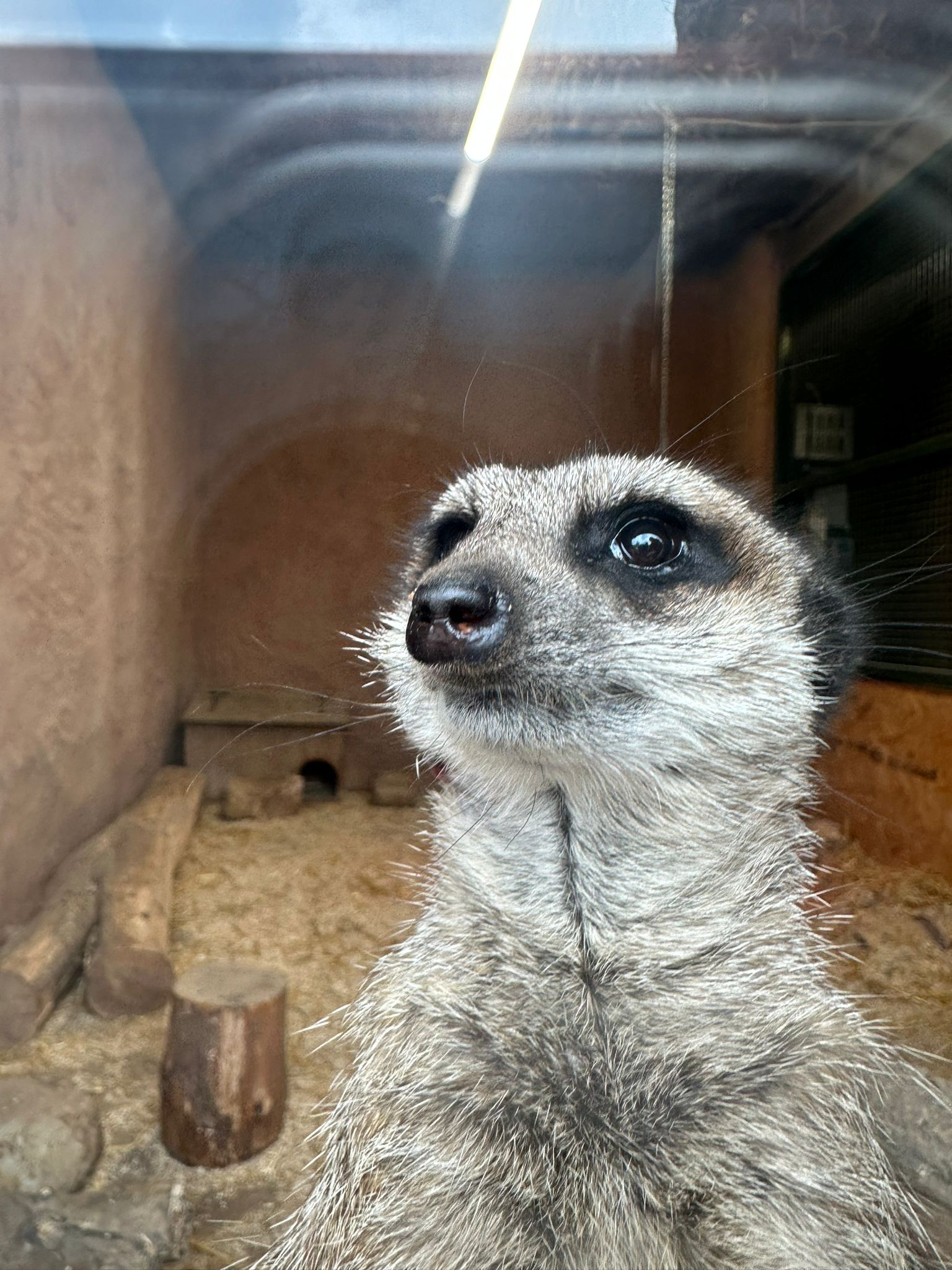 Primrose House Residents Delight in Wildlife Park Adventure