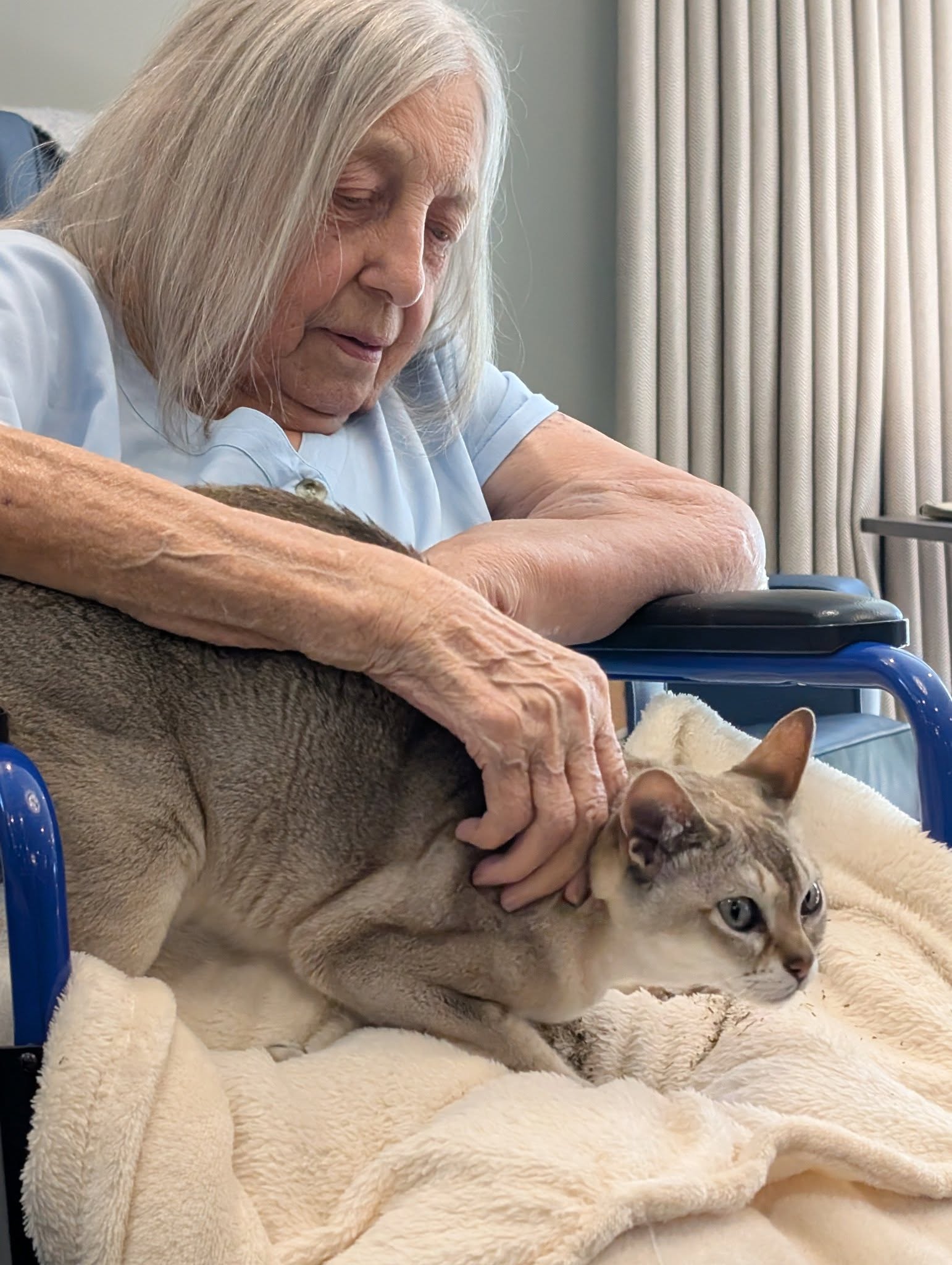 Rare Therapy Cats Enchant Residents at Woodland Court Care Home