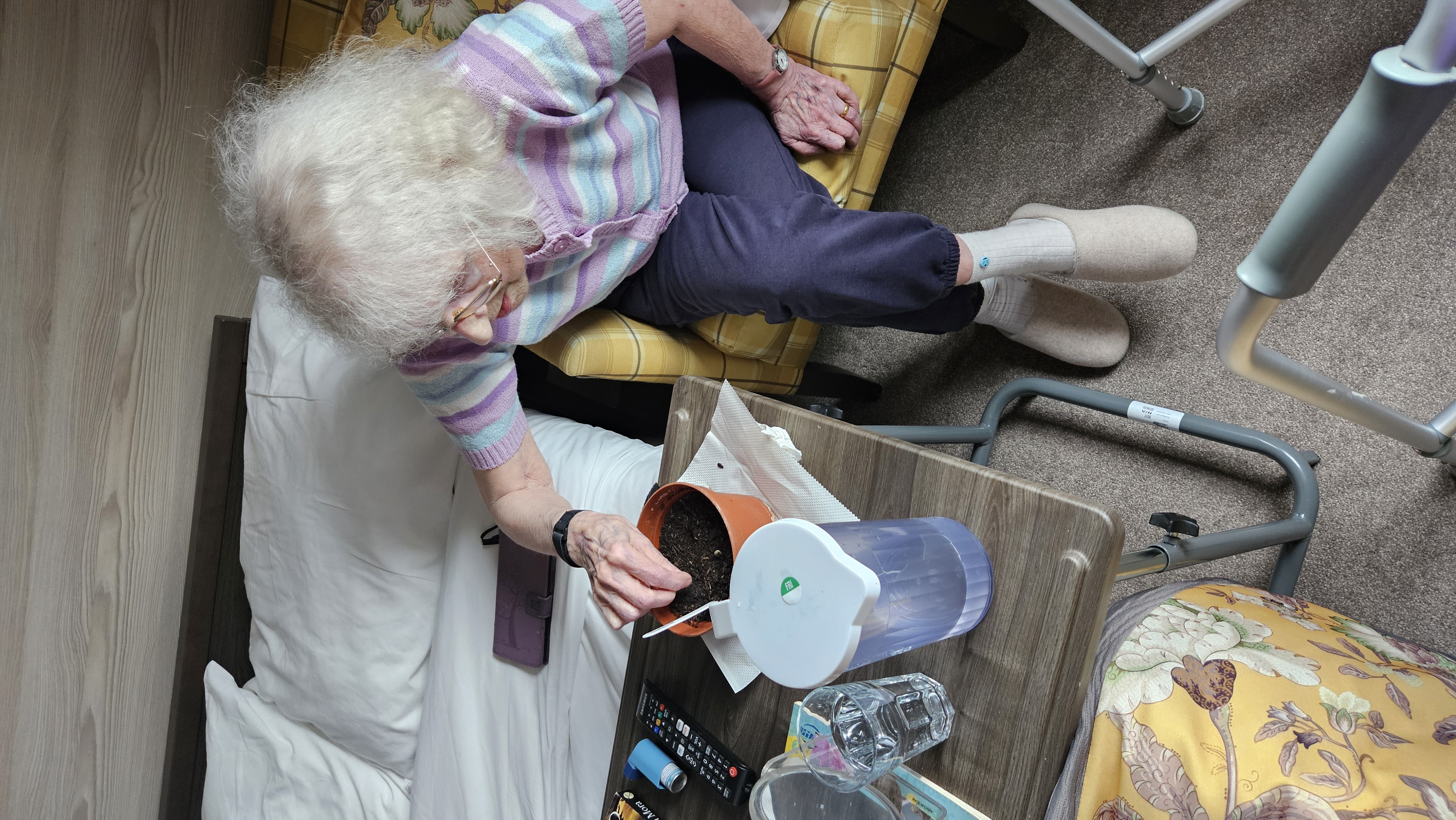 Holly Grange House Blossoms with Spring Gardening