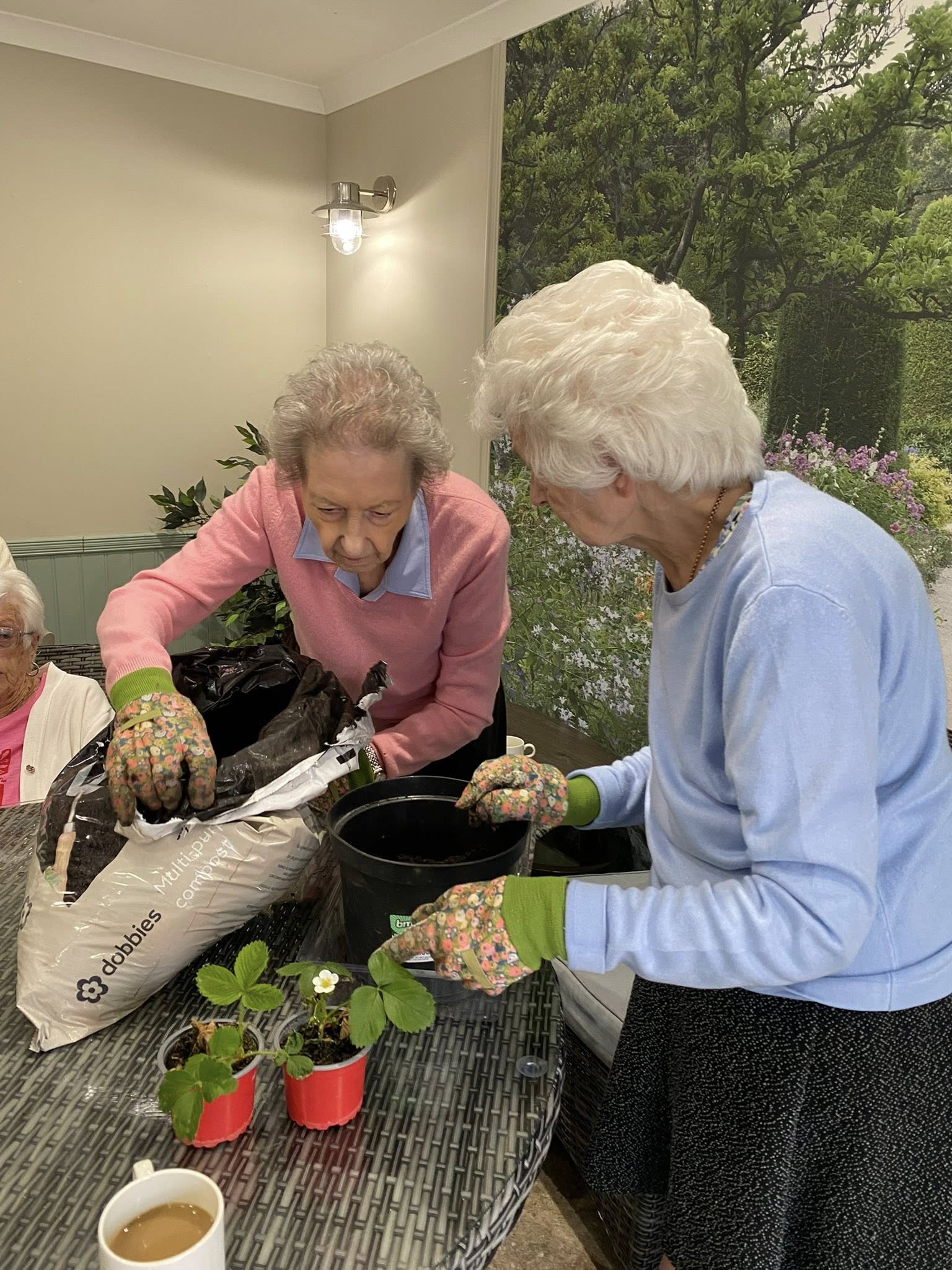 Heatherton House Residents Sow Seeds